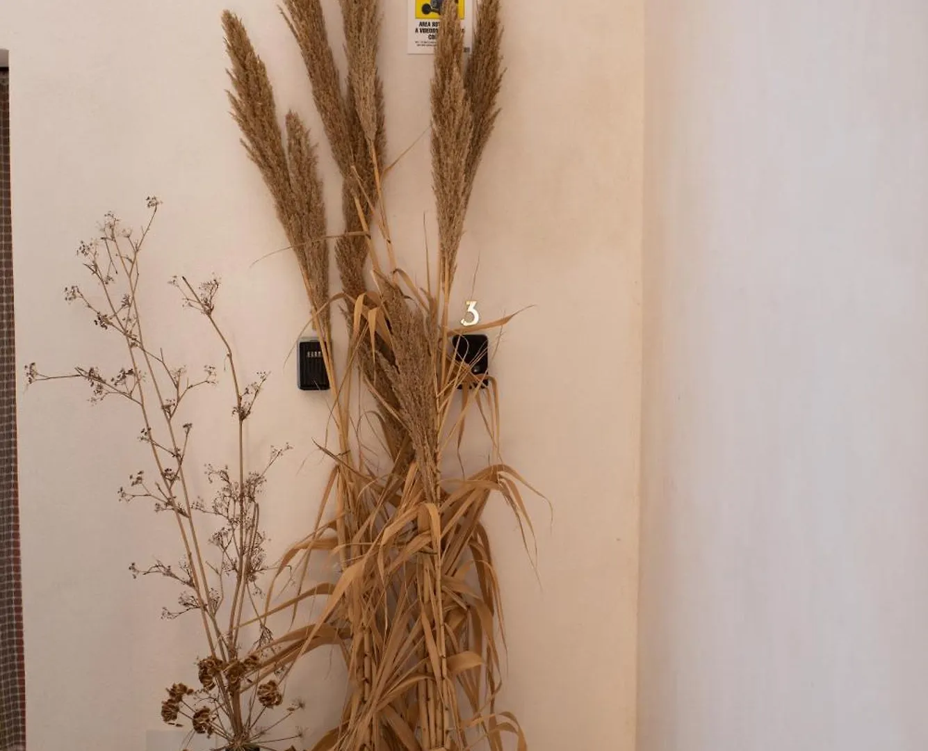 San Vito Accommodations San Vito Lo Capo Holiday home